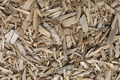 biomass boilers Tarskavaig